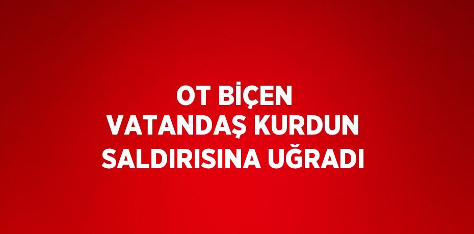 OT BİÇEN VATANDAŞ KURDUN SALDIRISINA UĞRADI