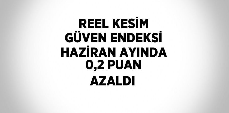REEL KESİM GÜVEN ENDEKSİ HAZİRAN AYINDA 0,2 PUAN AZALDI