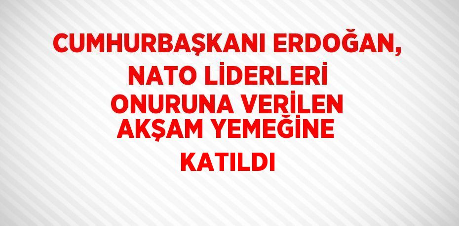 CUMHURBAŞKANI ERDOĞAN, NATO LİDERLERİ ONURUNA VERİLEN AKŞAM YEMEĞİNE KATILDI