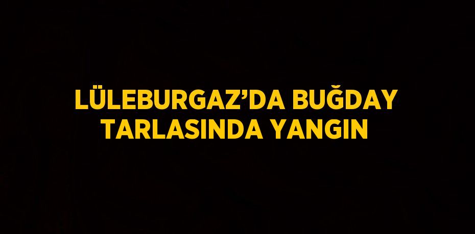 LÜLEBURGAZ’DA BUĞDAY TARLASINDA YANGIN