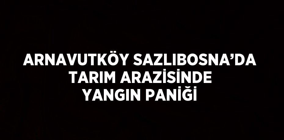ARNAVUTKÖY SAZLIBOSNA’DA TARIM ARAZİSİNDE YANGIN PANİĞİ