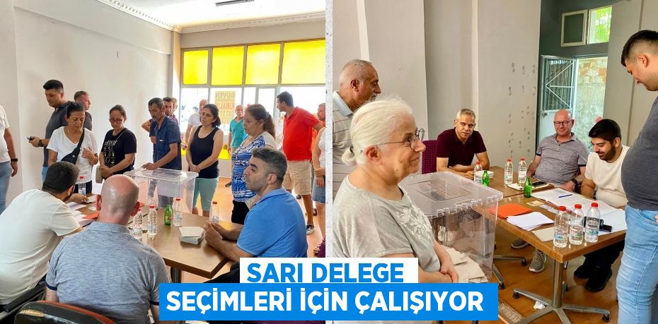 SARI DELEGE SEÇİMLERİ İÇİN ÇALIŞIYOR