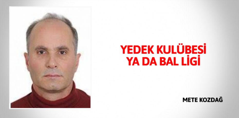 YEDEK KULÜBESİ YA DA BAL LİGİ