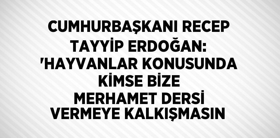 CUMHURBAŞKANI RECEP TAYYİP ERDOĞAN: 'HAYVANLAR KONUSUNDA KİMSE BİZE MERHAMET DERSİ VERMEYE KALKIŞMASIN