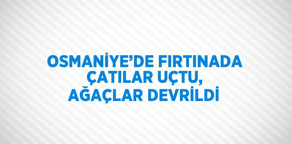 OSMANİYE’DE FIRTINADA ÇATILAR UÇTU, AĞAÇLAR DEVRİLDİ