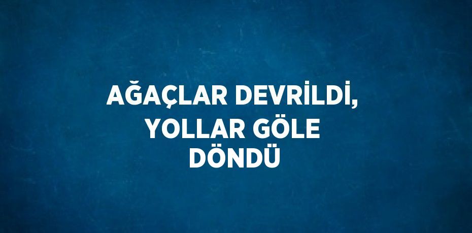 AĞAÇLAR DEVRİLDİ, YOLLAR GÖLE DÖNDÜ