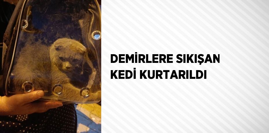 DEMİRLERE SIKIŞAN KEDİ KURTARILDI