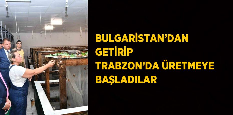 BULGARİSTAN’DAN GETİRİP TRABZON’DA ÜRETMEYE BAŞLADILAR