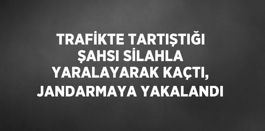 TRAFİKTE TARTIŞTIĞI ŞAHSI SİLAHLA YARALAYARAK KAÇTI, JANDARMAYA YAKALANDI