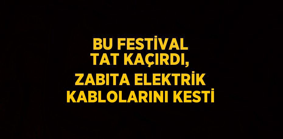 BU FESTİVAL TAT KAÇIRDI, ZABITA ELEKTRİK KABLOLARINI KESTİ