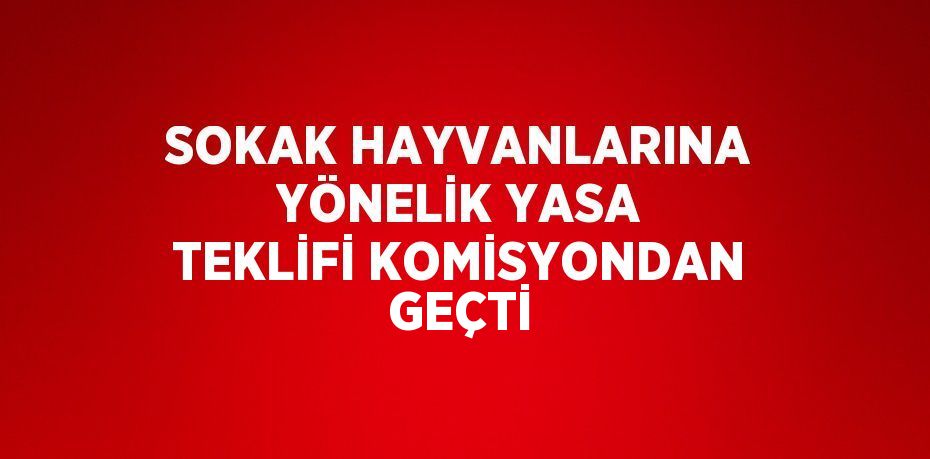 SOKAK HAYVANLARINA YÖNELİK YASA TEKLİFİ KOMİSYONDAN GEÇTİ