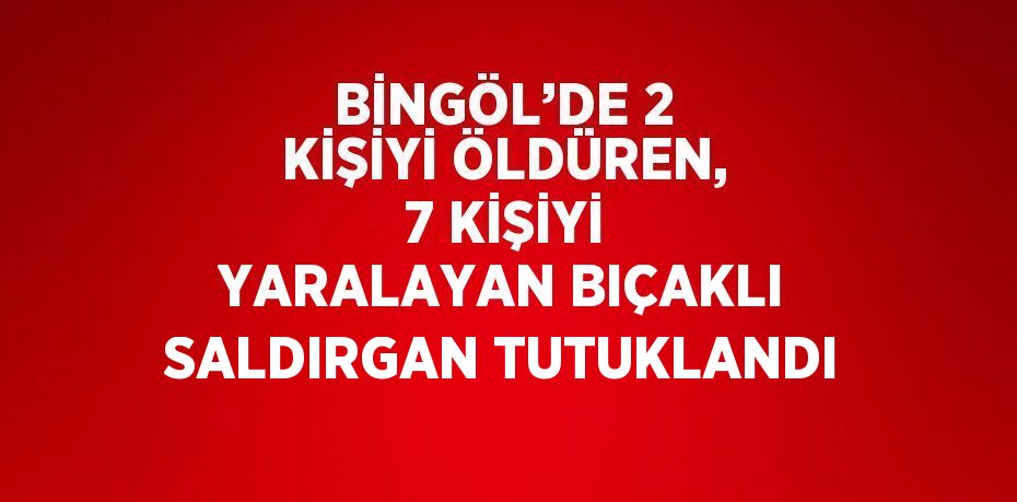 BİNGÖL’DE 2 KİŞİYİ ÖLDÜREN, 7 KİŞİYİ YARALAYAN BIÇAKLI SALDIRGAN TUTUKLANDI