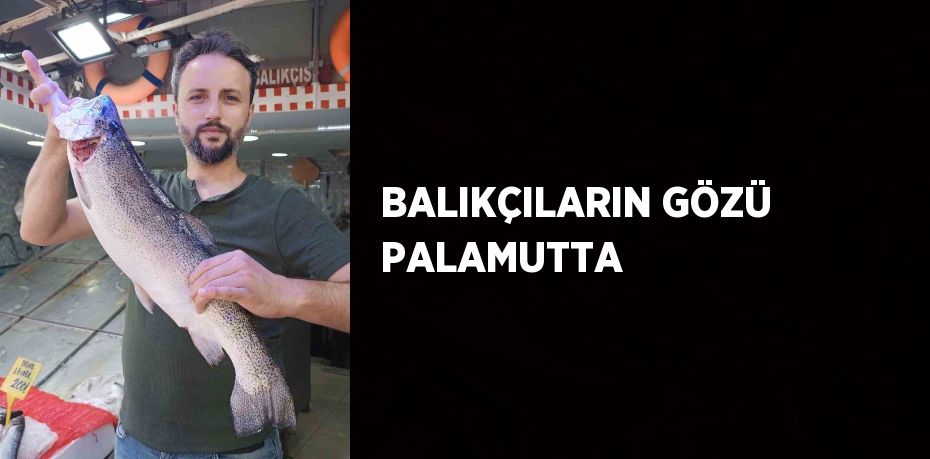 BALIKÇILARIN GÖZÜ PALAMUTTA