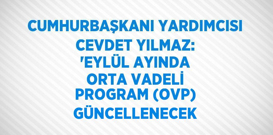 CUMHURBAŞKANI YARDIMCISI CEVDET YILMAZ: 'EYLÜL AYINDA ORTA VADELİ PROGRAM (OVP) GÜNCELLENECEK