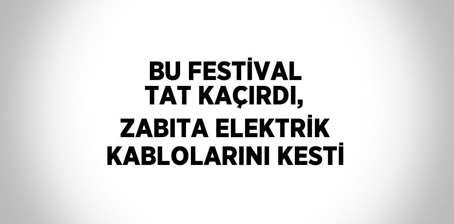 BU FESTİVAL TAT KAÇIRDI, ZABITA ELEKTRİK KABLOLARINI KESTİ