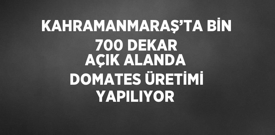 KAHRAMANMARAŞ’TA BİN 700 DEKAR AÇIK ALANDA DOMATES ÜRETİMİ YAPILIYOR