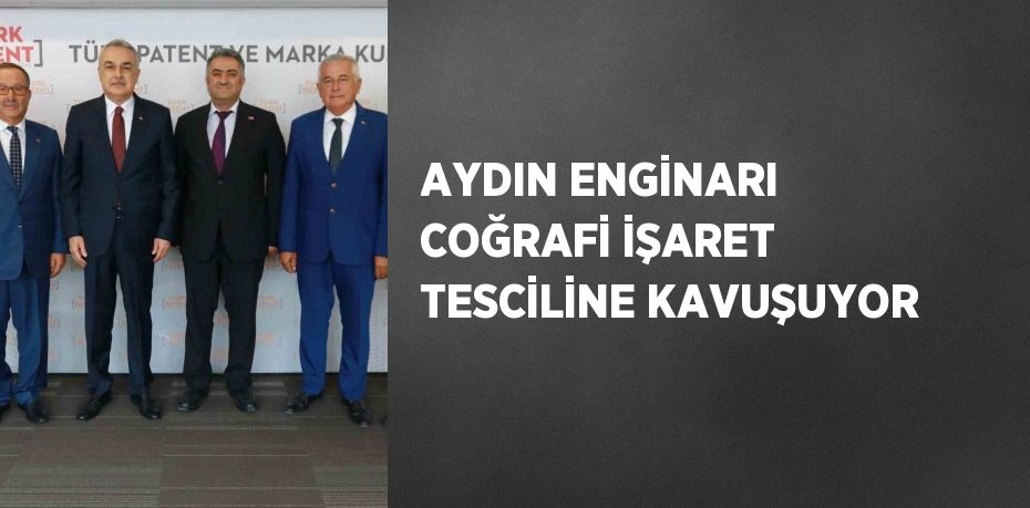 AYDIN ENGİNARI COĞRAFİ İŞARET TESCİLİNE KAVUŞUYOR