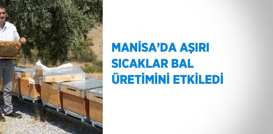 MANİSA’DA AŞIRI SICAKLAR BAL ÜRETİMİNİ ETKİLEDİ