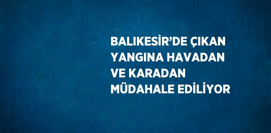 BALIKESİR’DE ÇIKAN YANGINA HAVADAN VE KARADAN MÜDAHALE EDİLİYOR