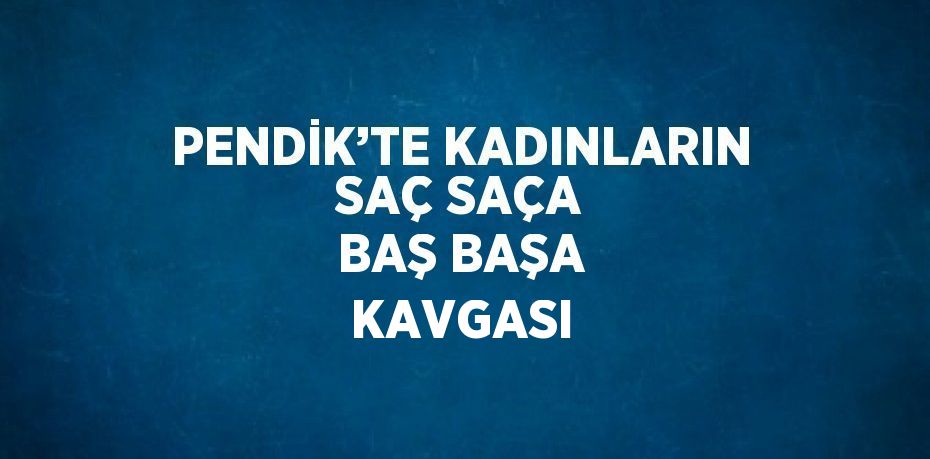 PENDİK’TE KADINLARIN SAÇ SAÇA BAŞ BAŞA KAVGASI