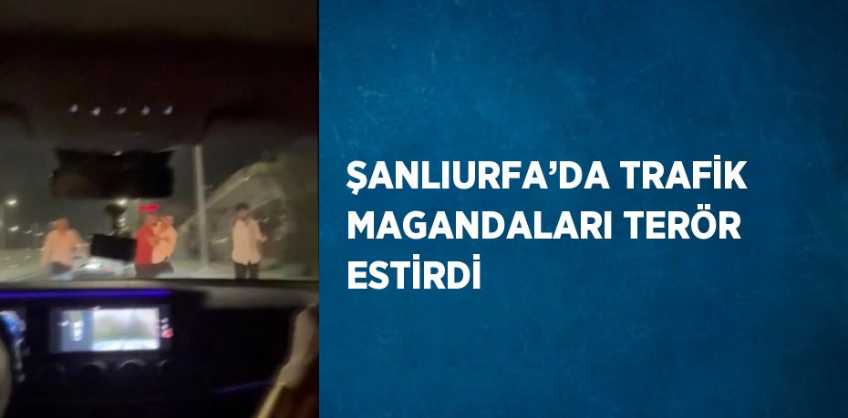 ŞANLIURFA’DA TRAFİK MAGANDALARI TERÖR ESTİRDİ