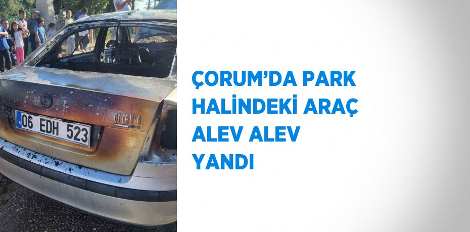 ÇORUM’DA PARK HALİNDEKİ ARAÇ ALEV ALEV YANDI