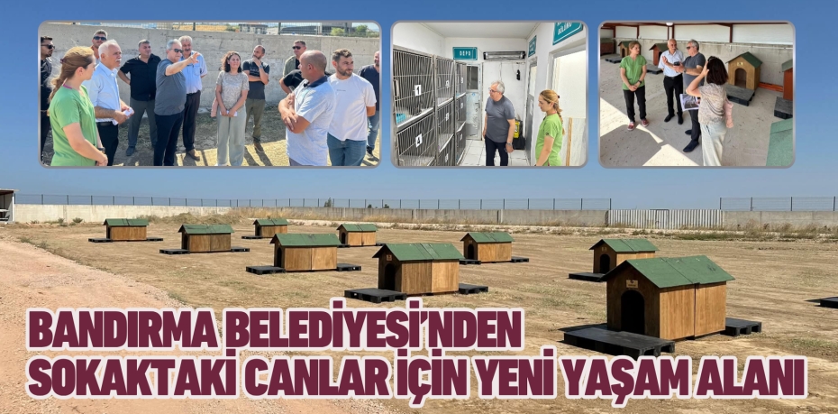 BANDIRMA BELEDİYESİ’NDEN SOKAKTAKİ CANLAR İÇİN YENİ YAŞAM ALANI