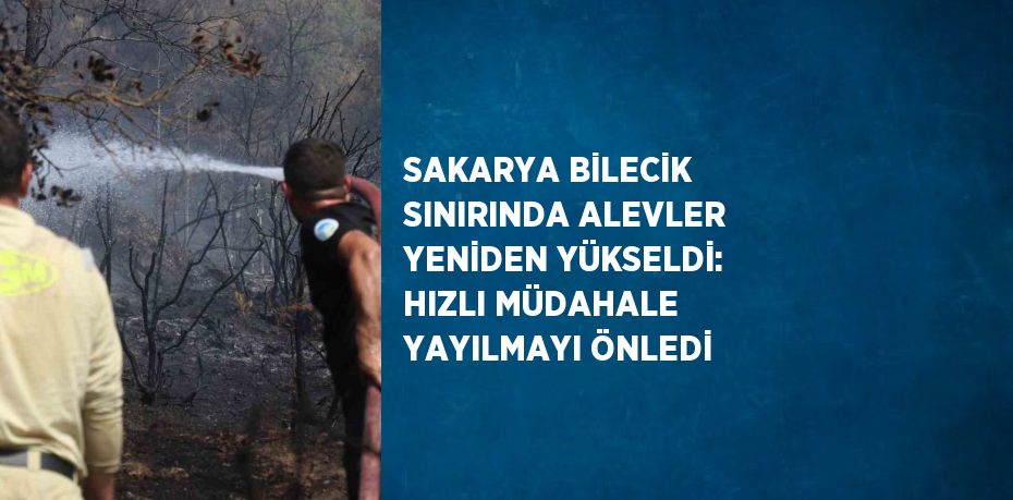 SAKARYA BİLECİK SINIRINDA ALEVLER YENİDEN YÜKSELDİ: HIZLI MÜDAHALE YAYILMAYI ÖNLEDİ