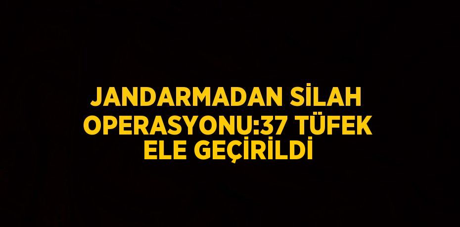 JANDARMADAN SİLAH OPERASYONU:37 TÜFEK ELE GEÇİRİLDİ