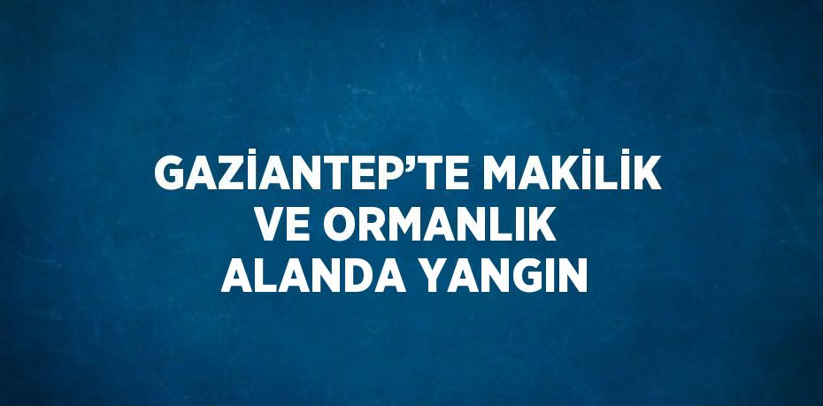 GAZİANTEP’TE MAKİLİK VE ORMANLIK ALANDA YANGIN
