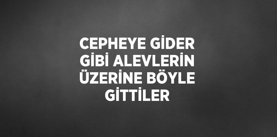 CEPHEYE GİDER GİBİ ALEVLERİN ÜZERİNE BÖYLE GİTTİLER