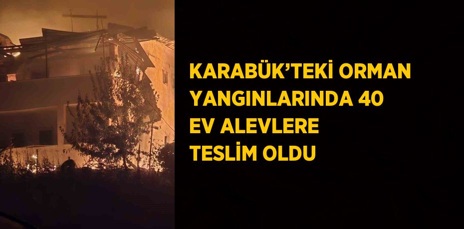 KARABÜK’TEKİ ORMAN YANGINLARINDA 40 EV ALEVLERE TESLİM OLDU