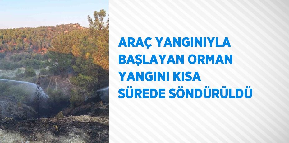 ARAÇ YANGINIYLA BAŞLAYAN ORMAN YANGINI KISA SÜREDE SÖNDÜRÜLDÜ