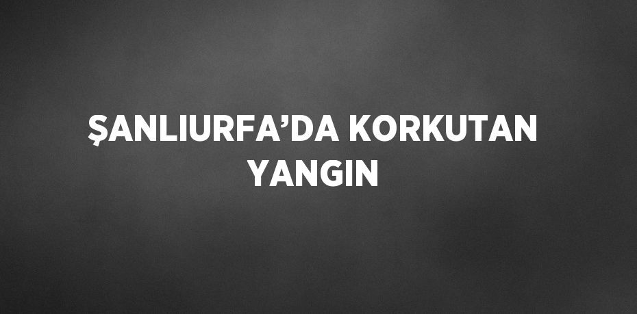 ŞANLIURFA’DA KORKUTAN YANGIN