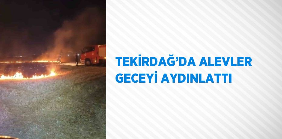 TEKİRDAĞ’DA ALEVLER GECEYİ AYDINLATTI