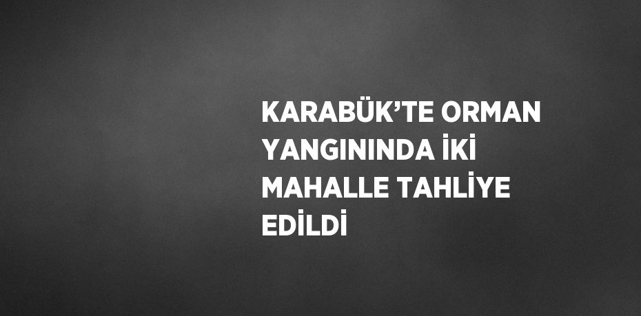 KARABÜK’TE ORMAN YANGININDA İKİ MAHALLE TAHLİYE EDİLDİ