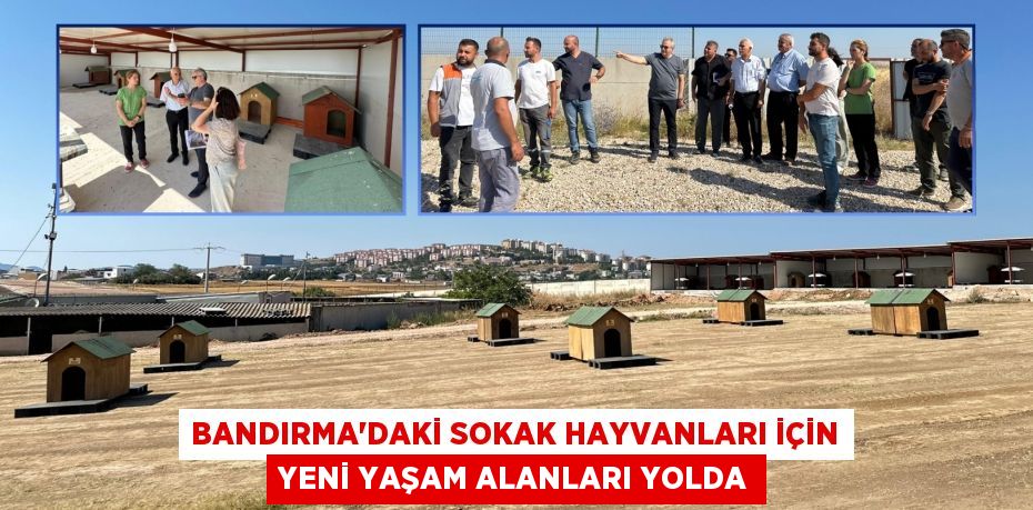 BANDIRMA’DAKİ SOKAK HAYVANLARI İÇİN YENİ YAŞAM ALANLARI YOLDA