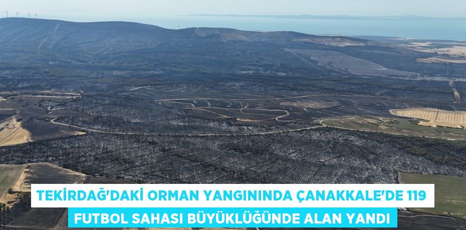 Tekirdağ’daki orman yangınında Çanakkale’de 119 futbol sahası büyüklüğünde alan yandı