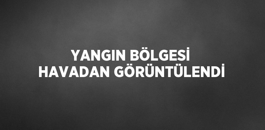 YANGIN BÖLGESİ HAVADAN GÖRÜNTÜLENDİ