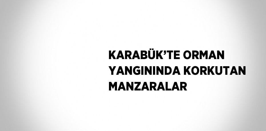 KARABÜK’TE ORMAN YANGININDA KORKUTAN MANZARALAR