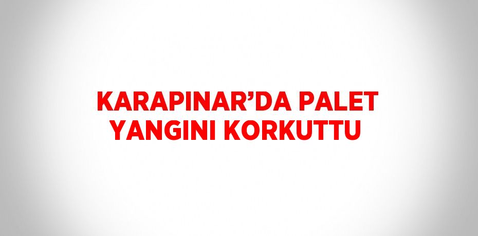 KARAPINAR’DA PALET YANGINI KORKUTTU