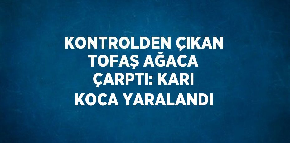 KONTROLDEN ÇIKAN TOFAŞ AĞACA ÇARPTI: KARI KOCA YARALANDI