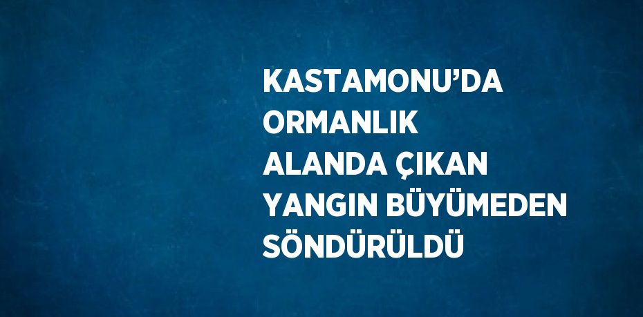 KASTAMONU’DA ORMANLIK ALANDA ÇIKAN YANGIN BÜYÜMEDEN SÖNDÜRÜLDÜ