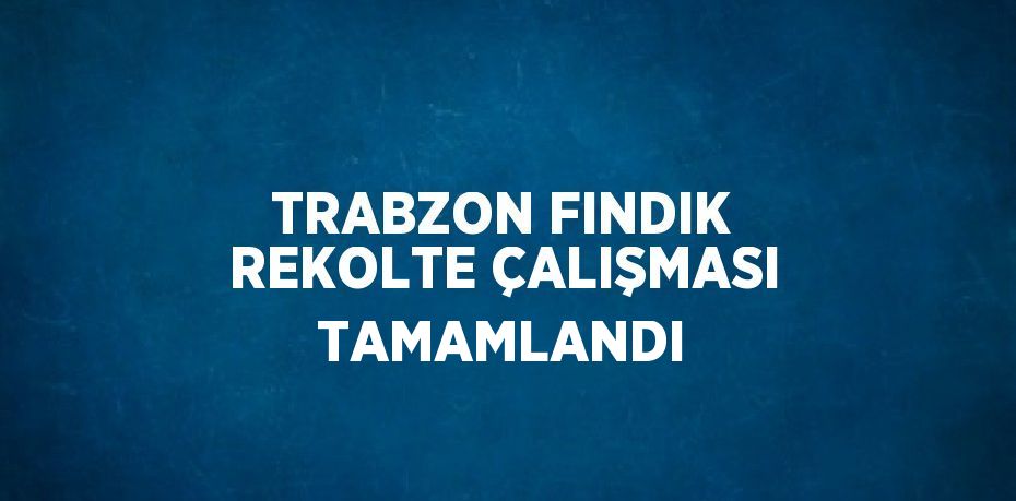 TRABZON FINDIK REKOLTE ÇALIŞMASI TAMAMLANDI