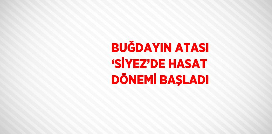 BUĞDAYIN ATASI ‘SİYEZ’DE HASAT DÖNEMİ BAŞLADI