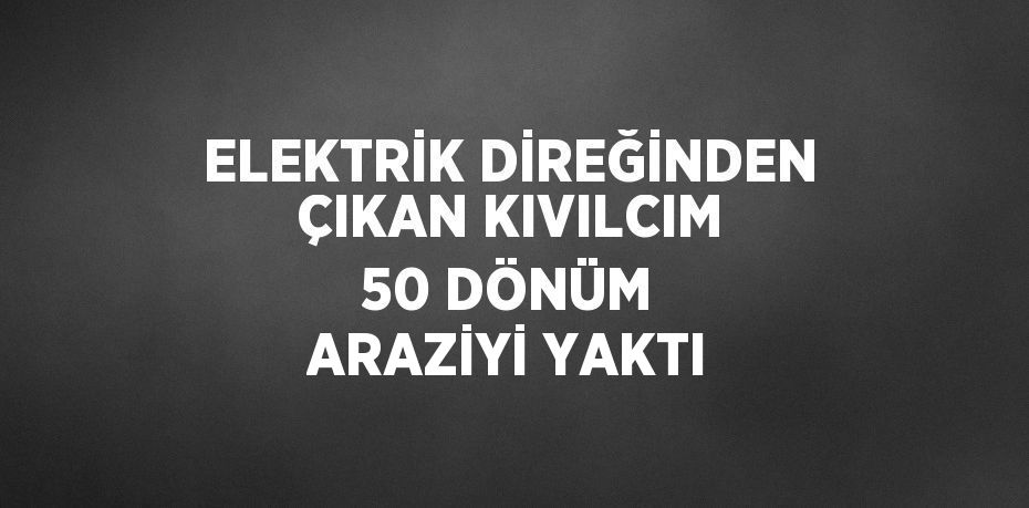 ELEKTRİK DİREĞİNDEN ÇIKAN KIVILCIM 50 DÖNÜM ARAZİYİ YAKTI