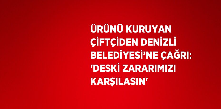 ÜRÜNÜ KURUYAN ÇİFTÇİDEN DENİZLİ BELEDİYESİ’NE ÇAĞRI: 'DESKİ ZARARIMIZI KARŞILASIN'