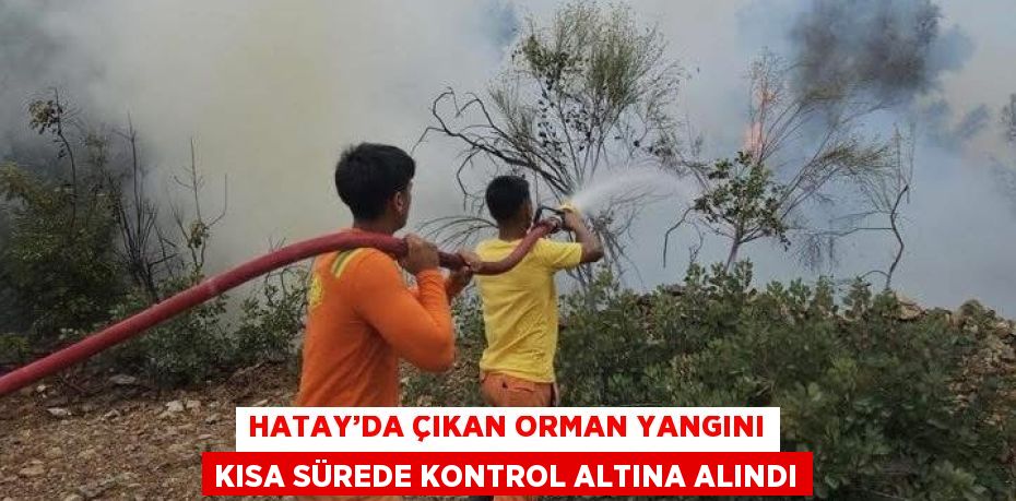 HATAY’DA ÇIKAN ORMAN YANGINI KISA SÜREDE KONTROL ALTINA ALINDI