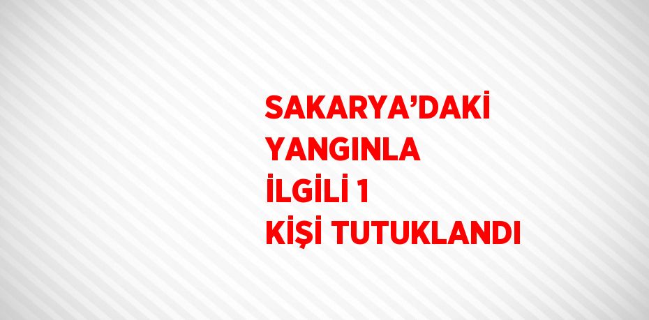 SAKARYA’DAKİ YANGINLA İLGİLİ 1 KİŞİ TUTUKLANDI