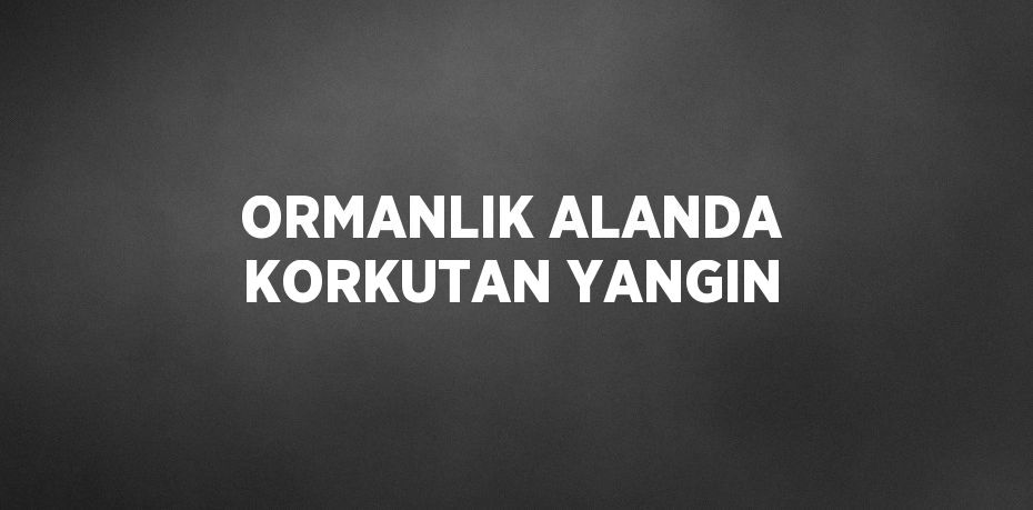 ORMANLIK ALANDA KORKUTAN YANGIN
